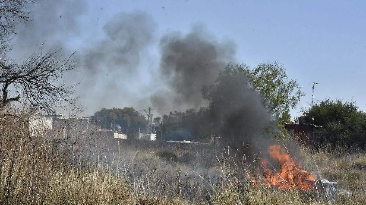 basura e incendio (5) ok